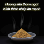 COMBO 5 GÓI CHÉP ĂN LIỀN
