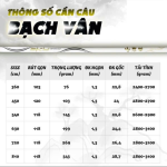 CẦN BẠCH VÂN