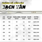 CẦN BẠCH VÂN
