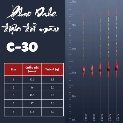 Phao Dahe điện C30