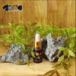 THUỐC VƯƠNG BẢN ĐẶC BIỆT