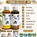 COMBO HL RÔ PHI LỤC PHI-CỬU PHI