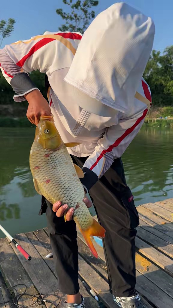 Chép vàng ươm "kiểu tranh Đông Hồ" - câu chép ốc với Vũ Ngư