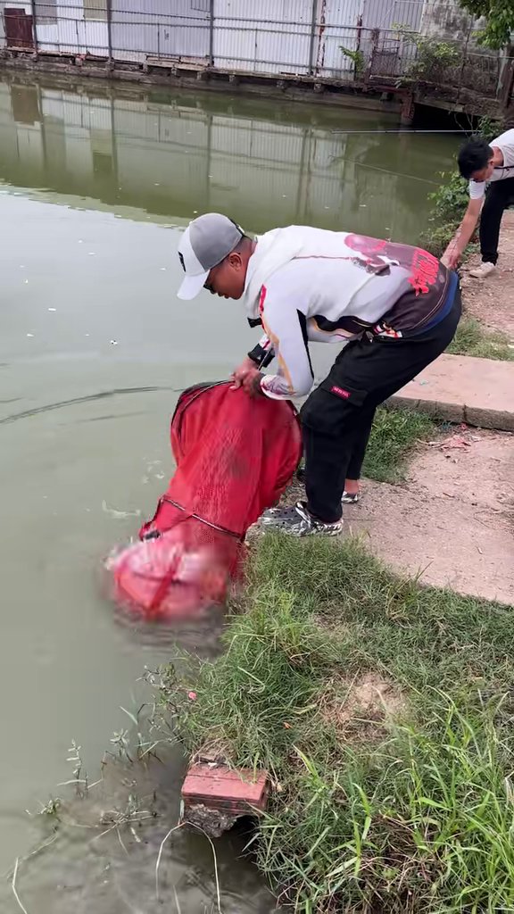 Kéo rọng chép cũ cuối buổi - Hồ Xuân Canh: Cao Thiện mang 1kg ốc bắt nguyên đàn chép cũ