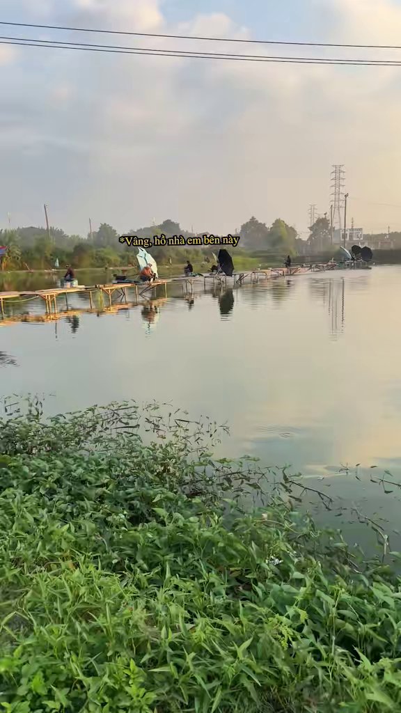 Hồ câu Đài Núi Căng với nhiều cần thủ đang câu cá trên các cầu gỗ.