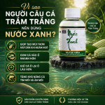 HƯƠNG LIỆU Ủ NGÔ CÂU CÁ TRẮM TRẮNG NƯỚC XANH - ĐÀI CÂU THÍCH – HƯƠNG LIỆU CHUYÊN DỤNG CÂU CÁ TRẮM TRẮNG HIỆU QUẢ