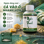 HƯƠNG LIỆU Ủ NGÔ CÂU CÁ TRẮM TRẮNG NƯỚC XANH - ĐÀI CÂU THÍCH – HƯƠNG LIỆU CHUYÊN DỤNG CÂU CÁ TRẮM TRẮNG HIỆU QUẢ