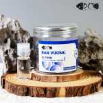 Hạt Dan Vương Silicon - Mồi Câu Trắm Đen