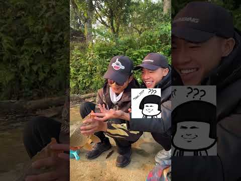 Trên đời này, những thứ miễn phí chỉ có nước mưa và cứt chim thôi