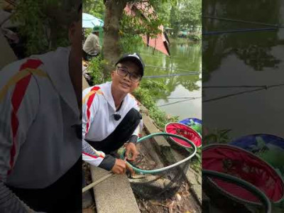 Sức hút của 1 tấn Cá Chép mới